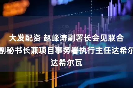 大发配资 赵峰涛副署长会见联合国副秘书长兼项目事务署执行主任达希尔瓦