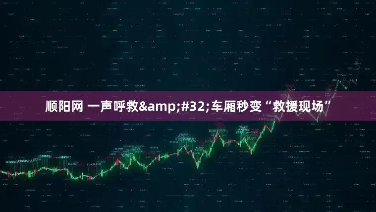顺阳网 一声呼救&#32;车厢秒变“救援现场”